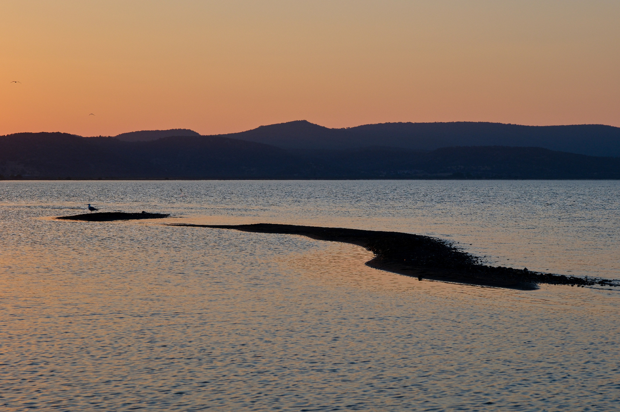 Řecko-Lesbos-Slunce na kříklech